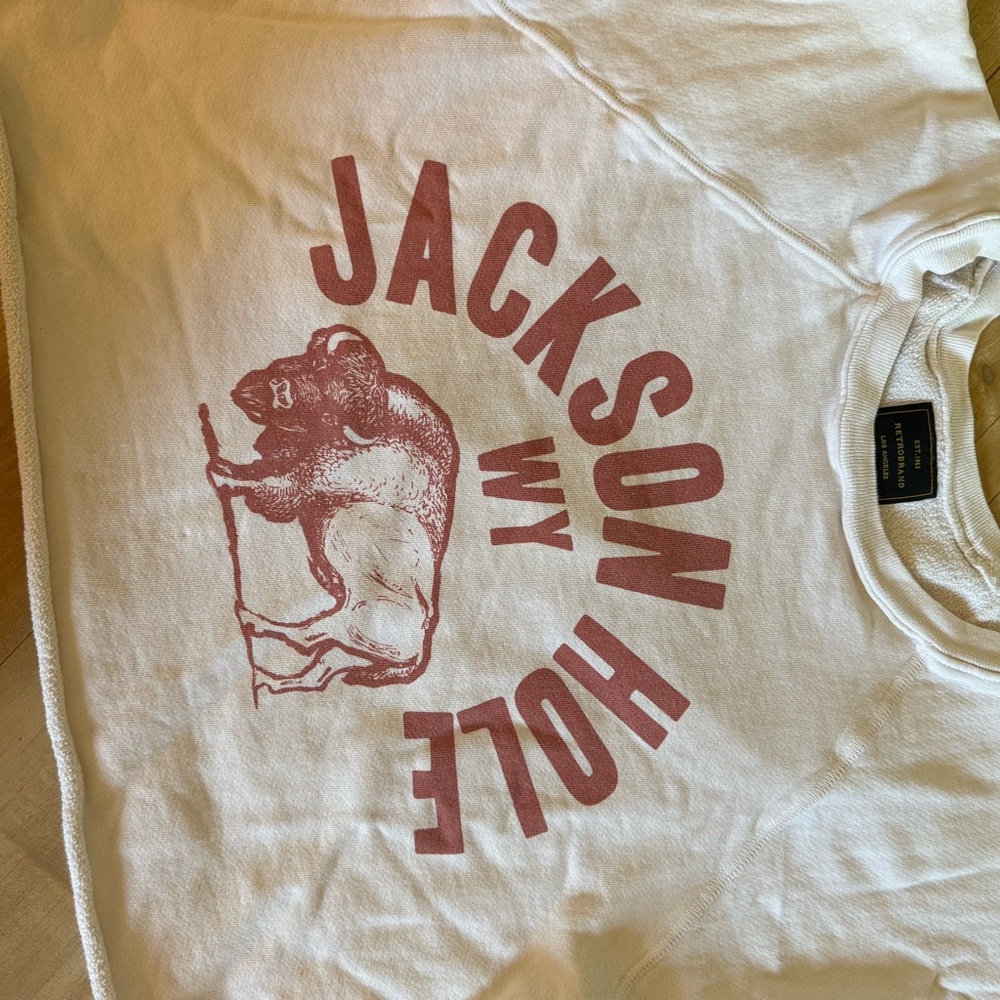 Free People Cream and Red Jackson Hole Sweatshirt